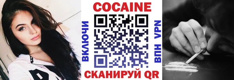 Купить закладки  Дмитриев  Кокаин Fish Scale 