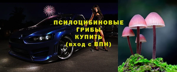 таблы Гусев