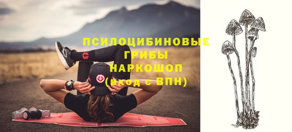 СК Гусь-Хрустальный
