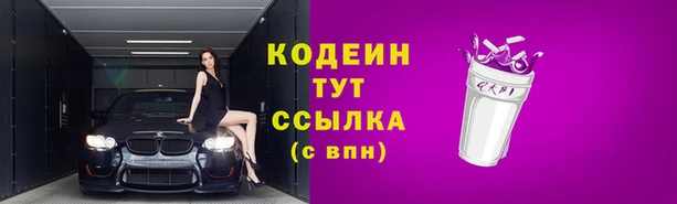 СК Гусь-Хрустальный