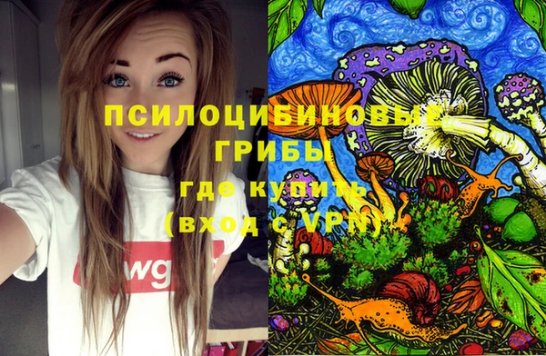 СК Гусь-Хрустальный