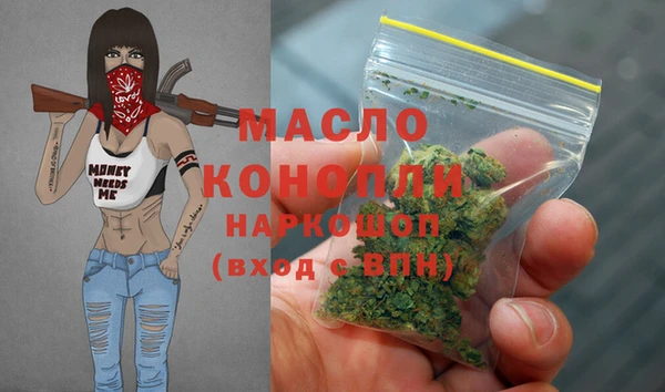 СК Гусь-Хрустальный